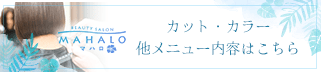 カット・カラー 他メニュー内容はこちら